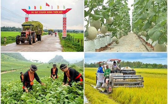 Quy chế hoạt động của Ban Chỉ đạo Trung ương các chương trình mục tiêu quốc gia