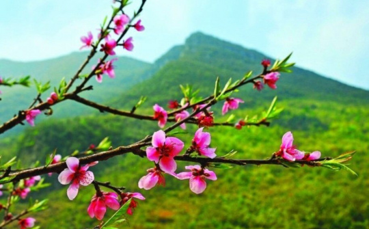 Qua gian khó, tin tưởng và kỳ vọng