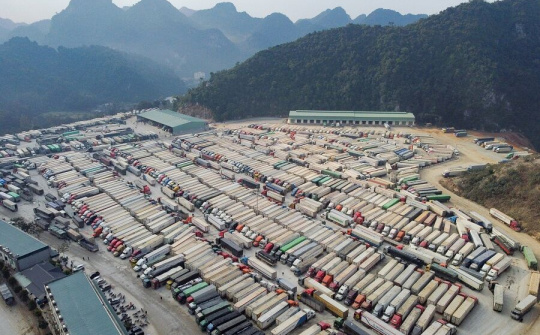 Nông sản Việt quay đầu: Doanh nghiệp sẵn sàng tiêu thụ nội địa