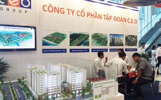 Doanh thu tăng đột biến, CEO Group chấm dứt chuỗi 4 quý liên tiếp thua lỗ