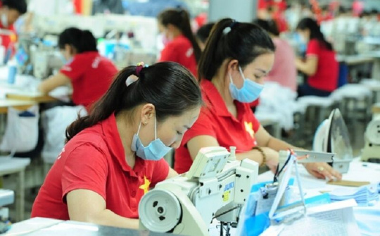 Chính sách thuế Việt Nam ngày càng bắt kịp chuẩn mực quốc tế