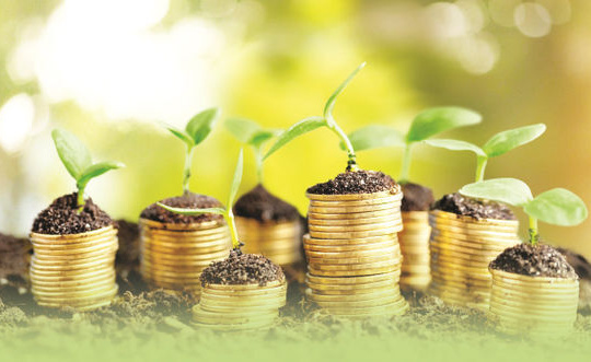 Quy định về xử phạt vi phạm hành chính trong lĩnh vực tiền tệ và ngân hàng