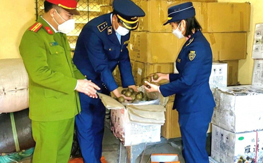 Đội CSĐT tội phạm kinh tế TP Lào Cai: Đoàn kết, vững tin hoàn thành xuất sắc nhiệm vụ