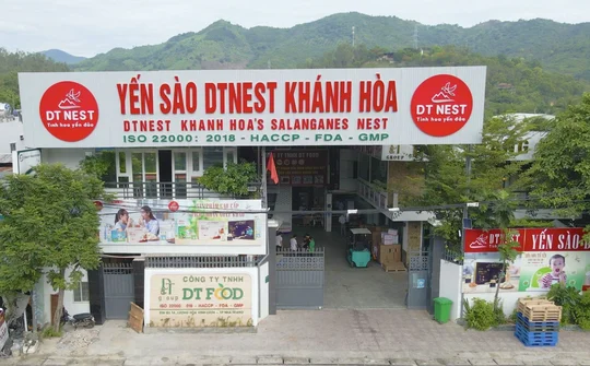 DT Group khẳng định thương hiệu trên thương trường quốc tế