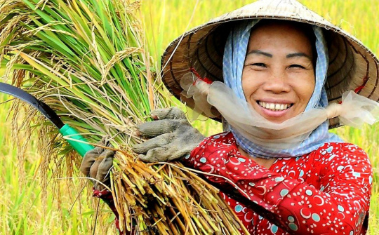 Phát huy vai trò chủ thể của nông dân trong tình hình mới