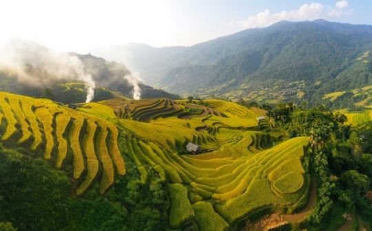 Rực sắc vàng trên non cao “mùa hạnh phúc” của người dân Cao Bồ