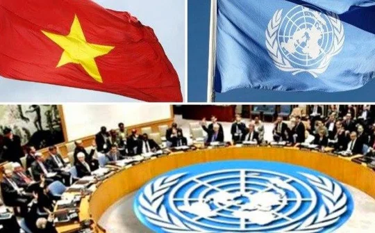 45 năm quan hệ Việt Nam - Liên Hợp Quốc: Đối tác tin cậy vì hòa bình, hợp tác và phát triển