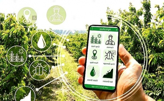 Các vấn đề chính sách bảo vệ môi trường trong xây dựng nông thôn mới hiện nay