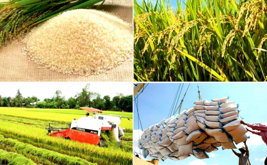 Thực hiện quan điểm Hồ Chí Minh về bảo đảm an ninh nông thôn