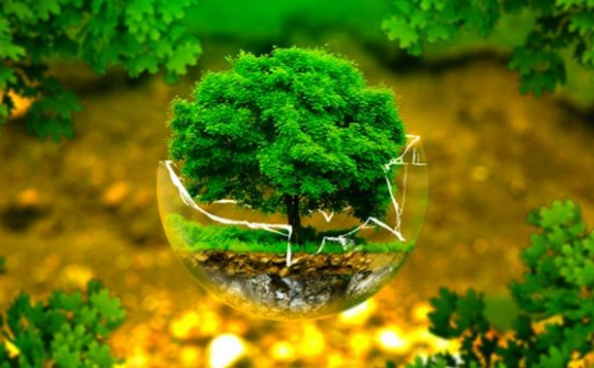 Ứng phó biến đổi khí hậu: Hoàn thiện thể chế, chính sách phù hợp với xu thế toàn cầu