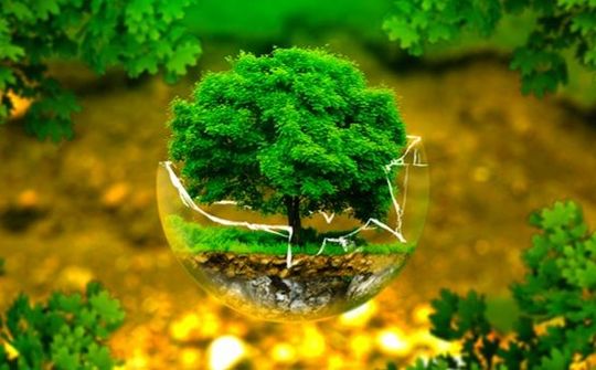 Ứng phó biến đổi khí hậu: Hoàn thiện thể chế, chính sách phù hợp với xu thế toàn cầu
