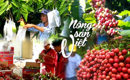 Xây dựng thương hiệu cho nông sản Việt Nam