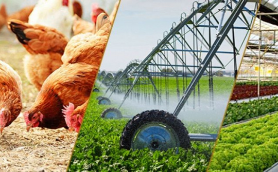 Một số nội dung mới trong chủ trương của Đảng về phát triển nông nghiệp, nông dân, nông thôn