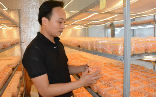 OCOP: Nguồn lực để Nam Định hoàn thành chương trình  xây dựng nông thôn mới nâng cao