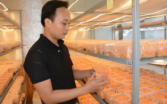 OCOP: Nguồn lực để Nam Định hoàn thành chương trình  xây dựng nông thôn mới nâng cao