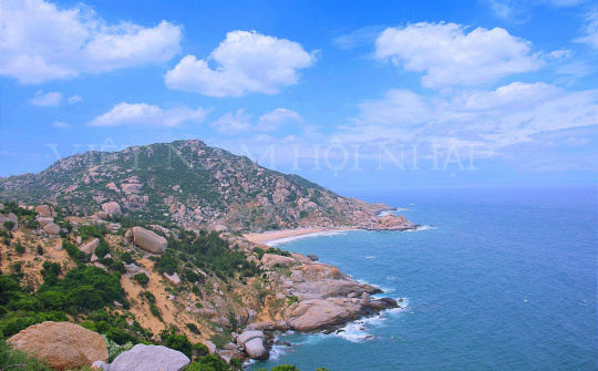 UBND TP Cam Ranh tổ chức Hội nghị đối thoại Doanh nghiệp năm 2022