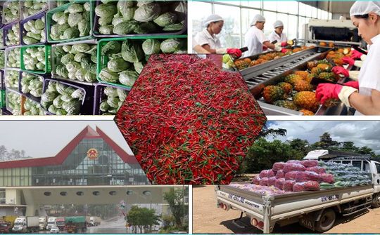Hạnh phúc khi đưa sản phẩm của người Việt ra nước ngoài