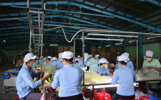 Ninh Thuận: Tăng trưởng ổn định và phục hồi trong 9 tháng đầu năm