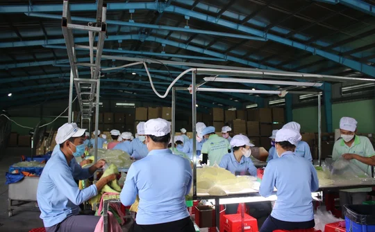 Ninh Thuận: Tăng trưởng ổn định và phục hồi trong 9 tháng đầu năm