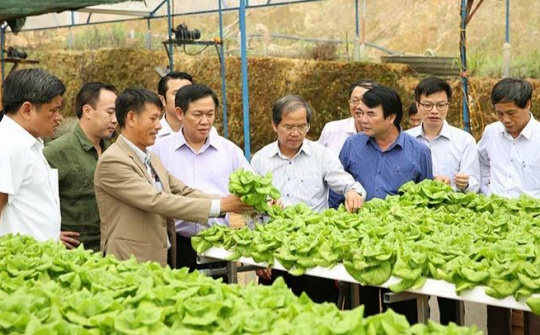 Phát triển kinh tế tập thể trong nền kinh tế thị trường định hướng xã hội chủ nghĩa