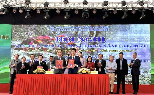 Hội nghị xúc tiến đầu tư phát triển vùng Sâm Lai Châu