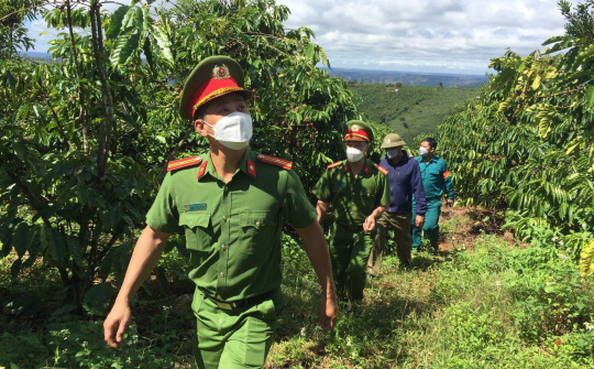 Công an Đắk Nông chủ động bảo đảm ANTT mùa thu hoạch cà phê