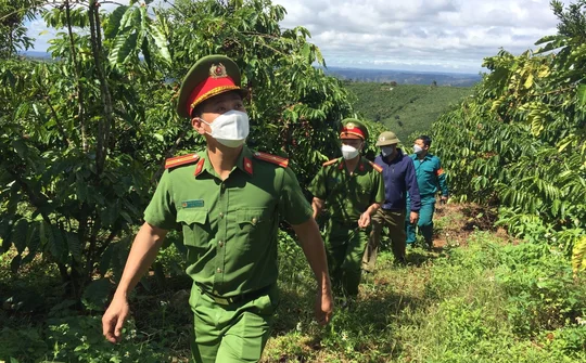Công an Đắk Nông chủ động bảo đảm ANTT mùa thu hoạch cà phê