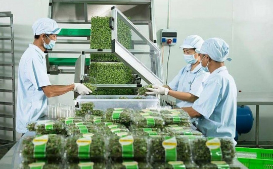 Solutions sought to further exploit niche markets in Europe