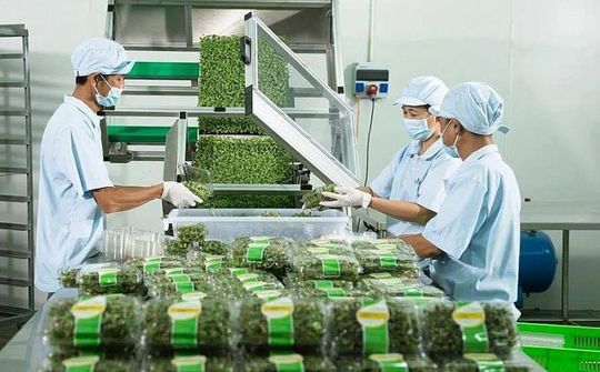 Solutions sought to further exploit niche markets in Europe