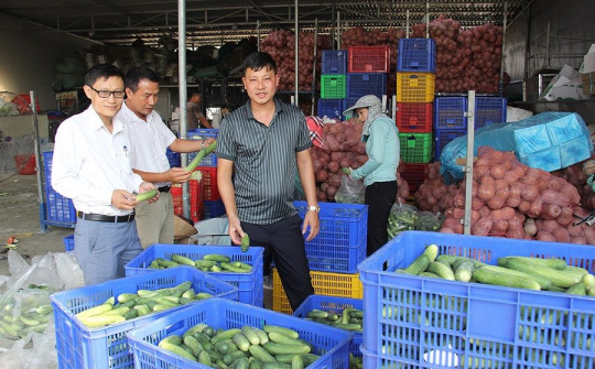 Phát triển HTX nông nghiệp, dịch vụ nông nghiệp ở Hải Dương - Bài 1: Liên kết sản xuất, điểm tựa cho nông dân
