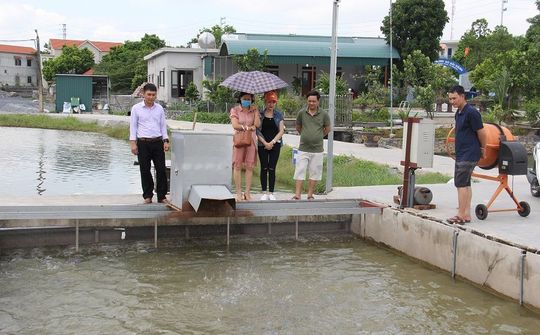 Chế biến sâu trong sản xuất đưa HTX phát triển bền vững