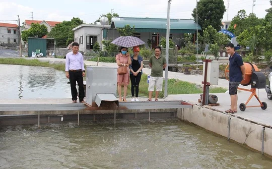 Chế biến sâu trong sản xuất đưa HTX phát triển bền vững