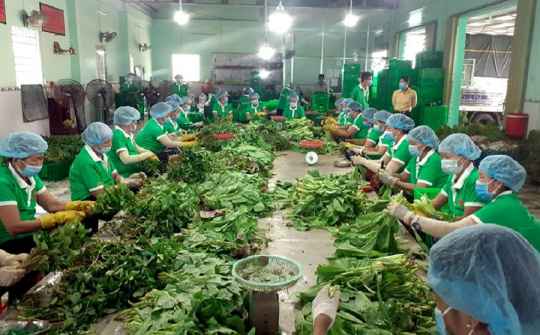 HTX vẫn đối mặt với khó khăn trở ngại