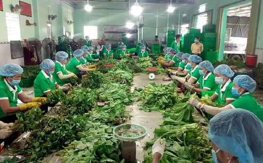 HTX vẫn đối mặt với khó khăn trở ngại