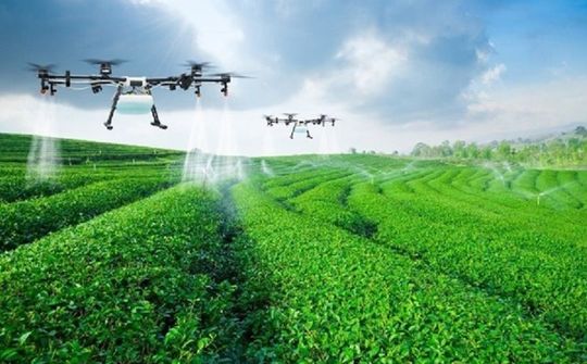 Làm gì để hợp tác xã chuyển đổi số thành công