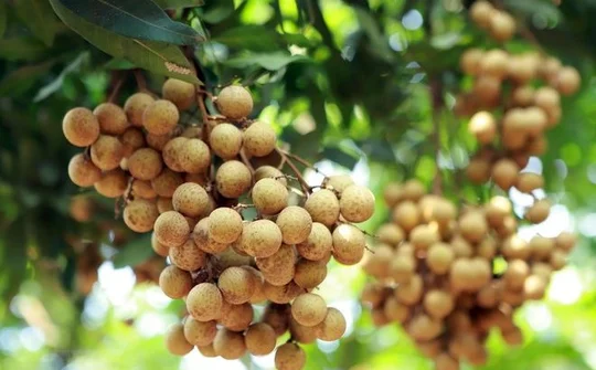 2022 – successful year for farm produce exports