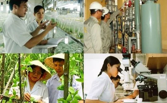 Ứng dụng khoa học – công nghệ vào sản xuất nông nghiệp: Thành tựu, hạn chế và giải pháp tháo gỡ