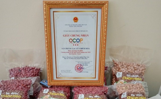 OCOP nâng chất cho các HTX tỉnh Tuyên Quang (Bài 2): “Bệ phóng” cho thương hiệu nông sản