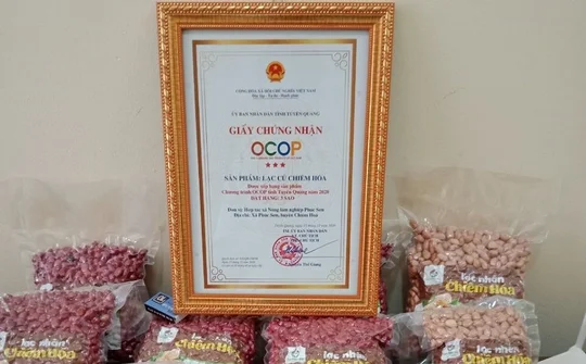 OCOP nâng chất cho các HTX tỉnh Tuyên Quang (Bài 2): “Bệ phóng” cho thương hiệu nông sản