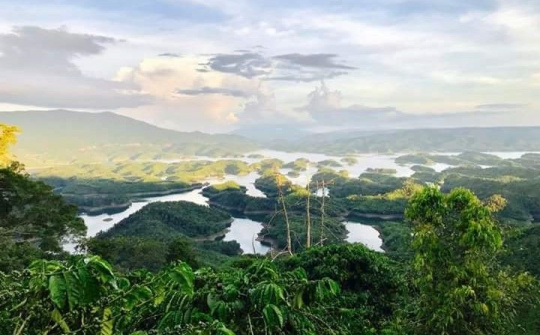 Toạ đàm kỷ niệm 63 năm ngày Lâm nghiệp Việt Nam (28/11/1959 – 28/11/2022)