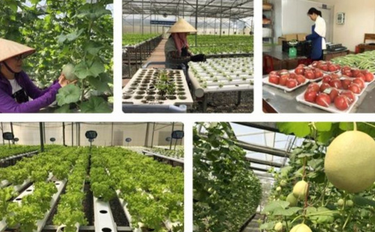 Vai trò của nhà nước đối với phát triển nông nghiệp ứng dụng công nghệ cao