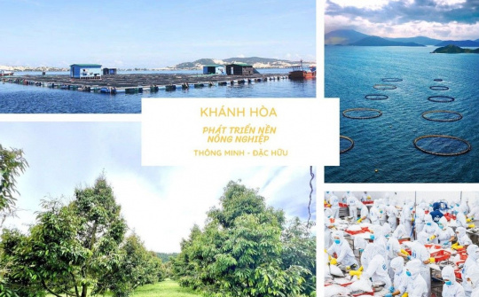 Khánh Hòa: Phát triển nền nông nghiệp thông minh đặc hữu