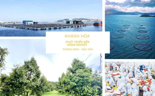Khánh Hòa: Phát triển nền nông nghiệp thông minh đặc hữu