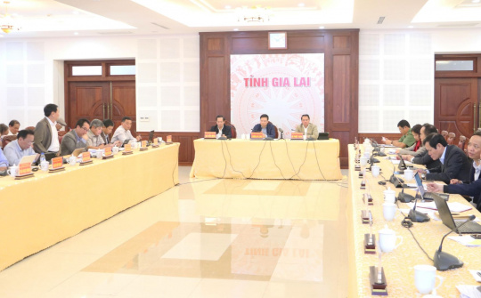 Gia Lai: Gần 1000 doanh nghiệp thành lập mới trong năm 2022