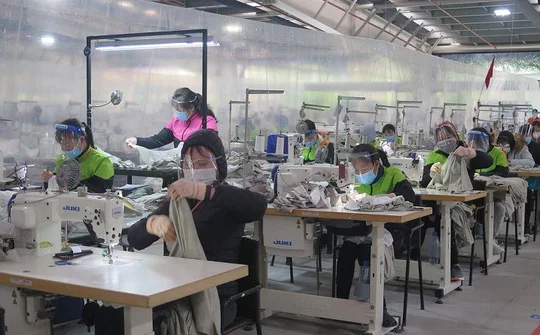 Phát triển nguồn nhân lực chất lượng cao ở Thái Bình: Kỳ II: Đào tạo nghề gắn với xây dựng nông thôn mới