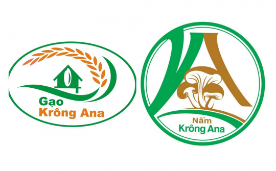 Phát triển thương hiệu Gạo – Nấm Krông Ana