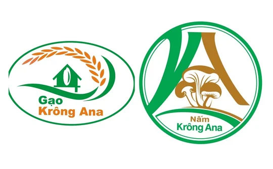 Phát triển thương hiệu Gạo – Nấm Krông Ana