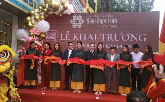 Sâm quý hiếm Ngọc Linh (Võ Kim Đường) xuất hiện tại Hà Tĩnh