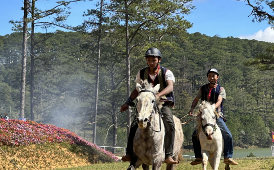 Lâm Đồng: Sôi nổi giải đua ngựa không yên