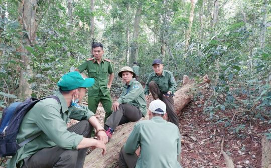 Gian nan giữ rừng trên vùng biên giới Đắk Nông